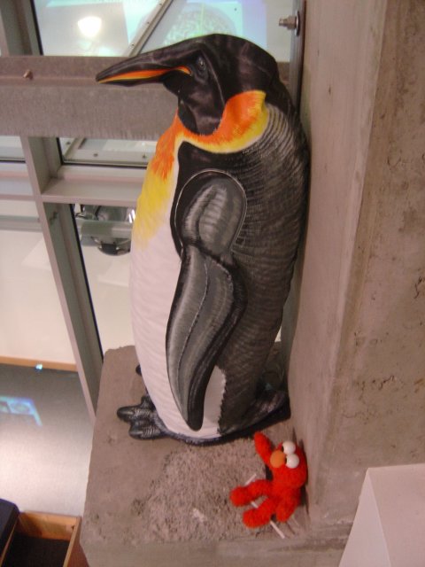 Plastic penguin and red companion on the edge