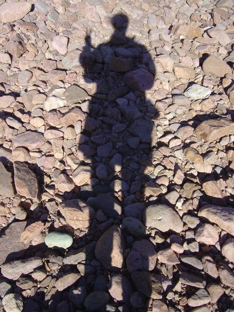 My tall shadow