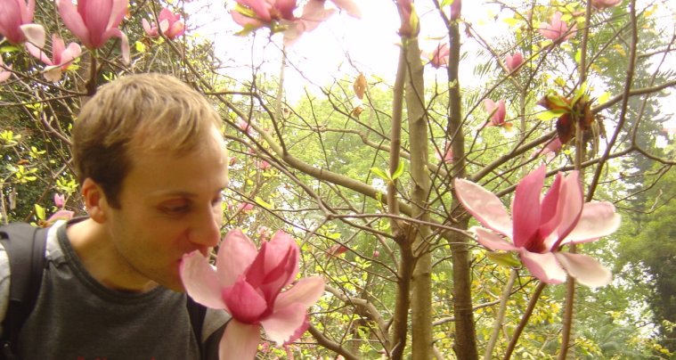 Nico smelling a flower from a magnolia tree