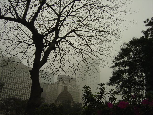 Gloomy afternoon in Hong Kong