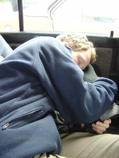 Joel sleeping at the back of the car