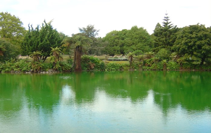 Green lake, Rotorua