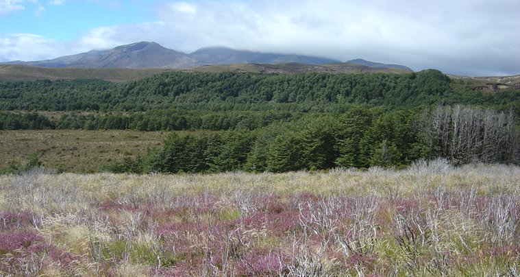 Tongariro National Park landscape