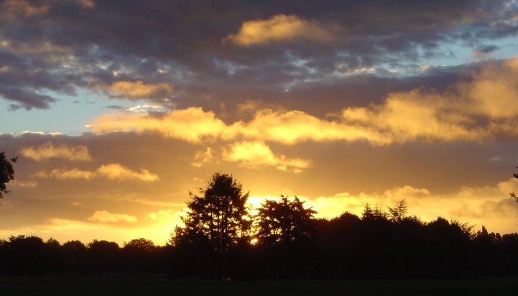 The sun burns as it sinks behind trees