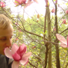 Nico smelling a flower from a magnolia tree