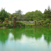 Green lake, Rotorua