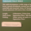 My goal for the day: take the Taranaki Falls walk