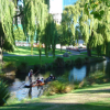 A group of people enjoying a boat cruise along a river