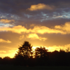 The sun burns as it sinks behind trees