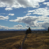 Yellow fields, fence, trees, blue sky, white clouds