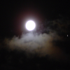 Full Moon in Virgo (Spica is the bright star at the right of the cloud, I think)