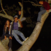 Perched in a tree: Coralie, Nicolas, Nico, Fabrice