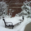 Snow on the bench and in the tree, Hyatt Harborside, Boston