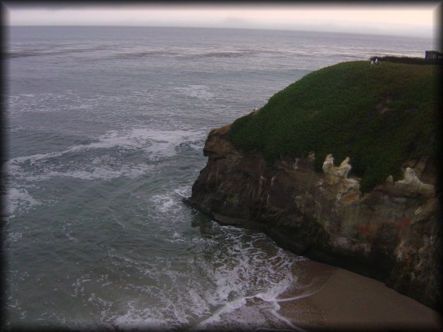 Natural Bridges State Beach, Santa Cruz, CA