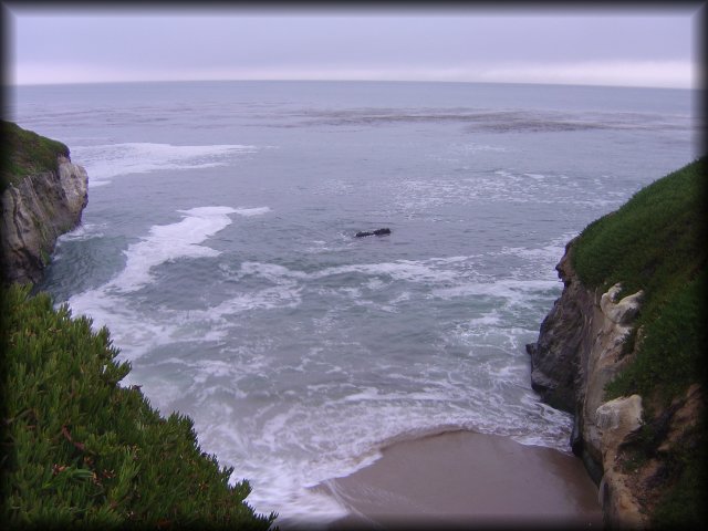 Natural Bridges State Beach, Santa Cruz, CA