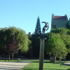 "Monumental Male Torso", Auguste Rodin, exhibition at Center of Visual Arts, Stanford, CA