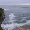 Natural Bridges State Beach, Santa Cruz, CA