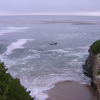 Natural Bridges State Beach, Santa Cruz, CA