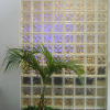 In the lobby at IBM, plants and glass brick wall behind which glows the lcd projector