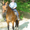 Horse mounted guard at Walden Pond, MA