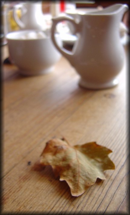 Dry leaf on the wooden table, sugar bowl and cream pot