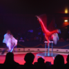 Billy Smart's circus: Anastasia from Estonia