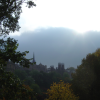 Tower of the Hub, Lawnmarket visible between trees of Princes Street Gardens, clouds and sun showing up