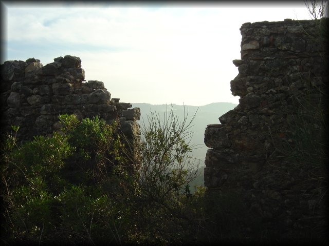 ruins of a stone wall and bushes