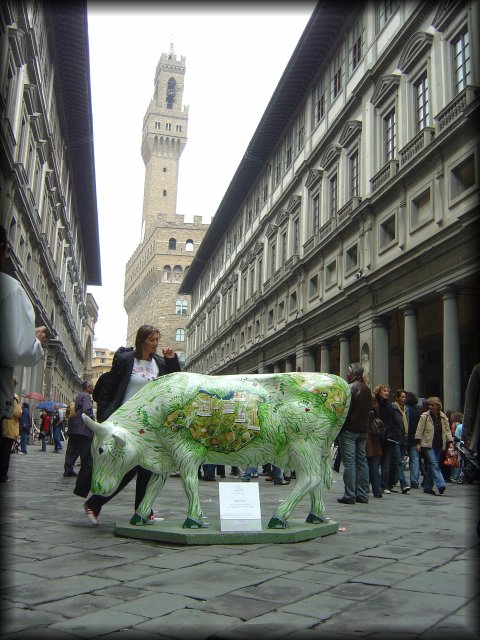 Cow painted with a touristy map, il Palazzo Vecchio, Firenze