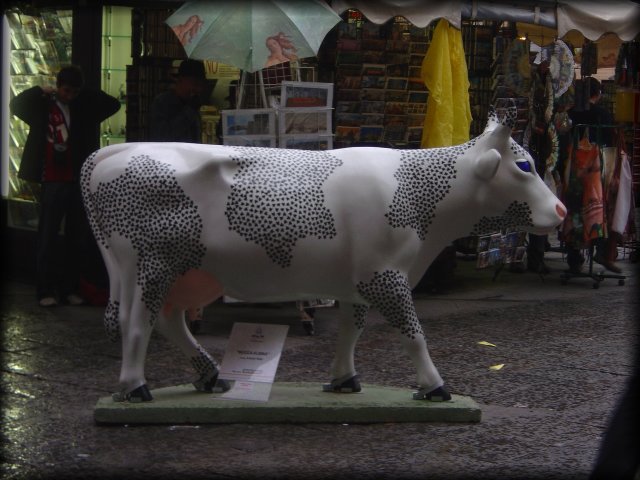 Dotted cow "Mucca Albina", Firenze