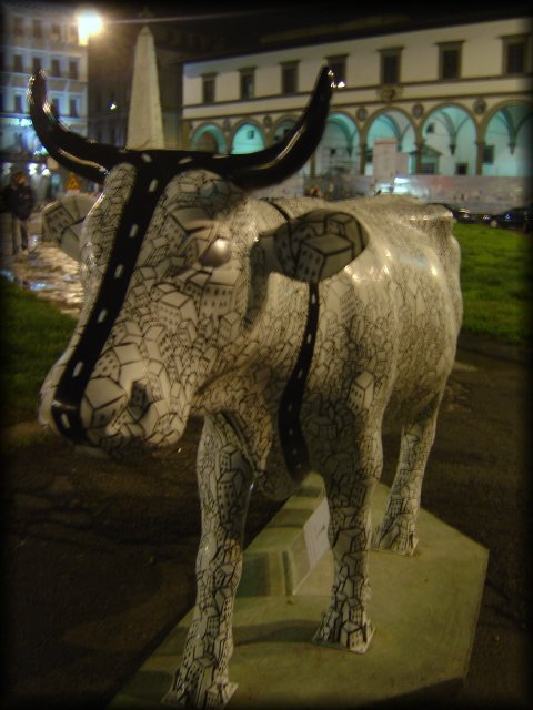 Black and white buildings cow, Firenze