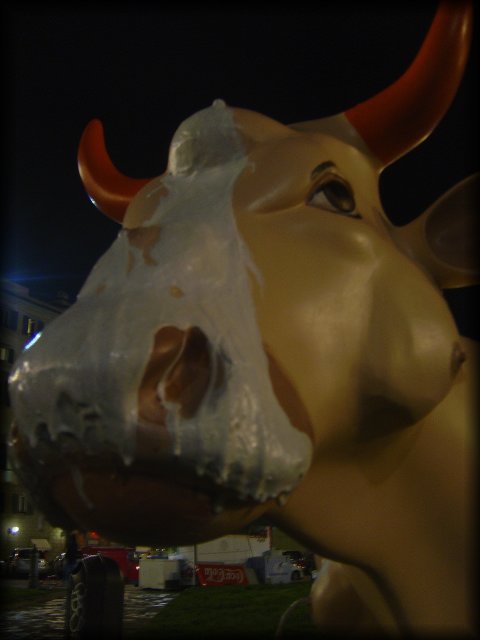 The milk cow, Firenze