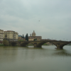 L'Arno, bridge, bird in flight, Firenze