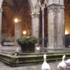 Geese in a cloister