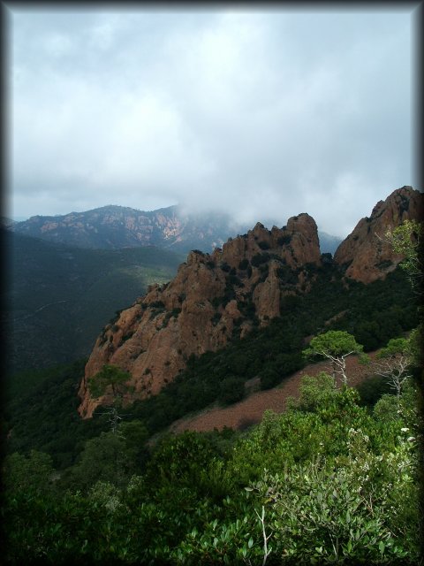 L'esterel is made of lots of those red rocks