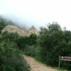 We came out of this path and were on the mountain that is hidden in the clouds: Pic du Cap Roux