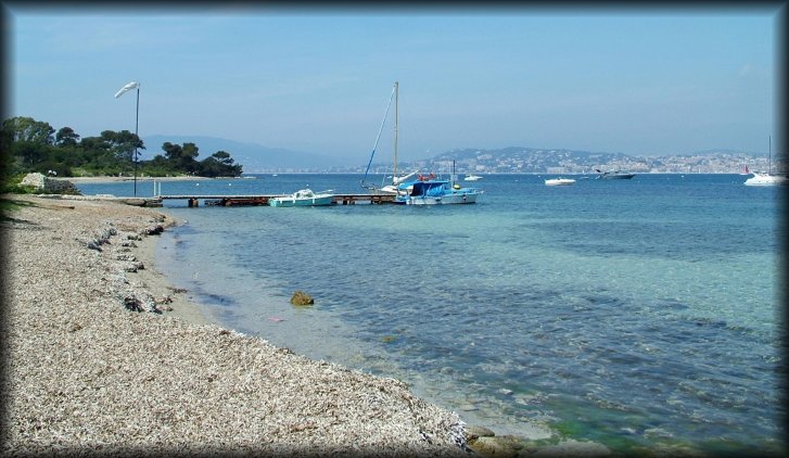 A beach at Sainte-Marguerite island, facing Cannes