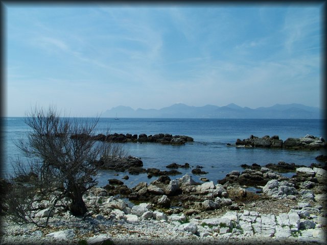 Beach of white rocks, dead tree, black rocks, sea and l'Esterel in the background