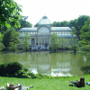 People enjoying the sun in the lawn by the pond in front of the Palacio de Cristal