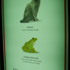 Advertisement for HSBC in NCE airport: .fr: avoir un chat dans la gorge, .en: to have a frog in your throat