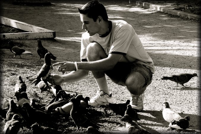A teenager boy befriending pigeons in the Kadriorg Park.