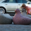 A little girl climbing a stone bird