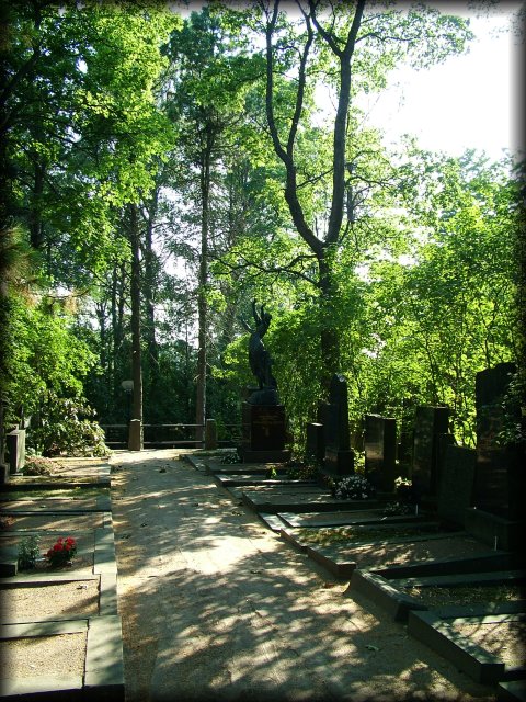 An alley in the Helsinki cemetery