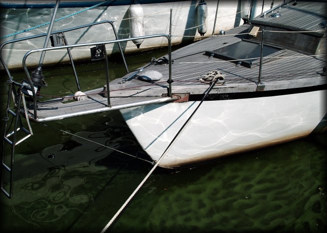 It looked as though the boat was on a mossy surface.