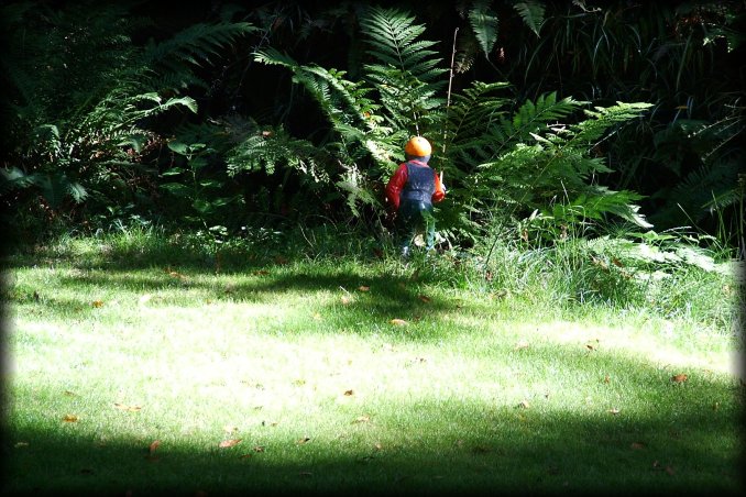 It's a garden gnome. I liked the whole setting; lush green, catchy red and the light and shadows. 