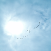 The sun slightly hidden behind clouds at Stinson Beach and birds flying in the sky