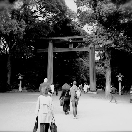 The gate to Meiji Shrine