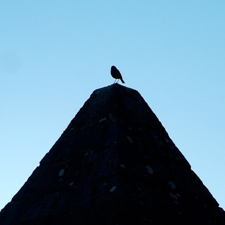 A bird on top of a pyramid