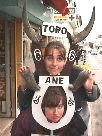 Ane & Toro, Camargue (FR), Apr. 2000