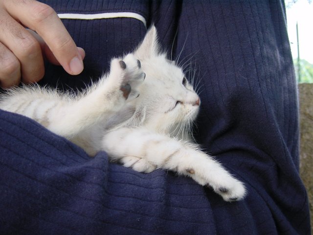 Emu in Stephane's arms